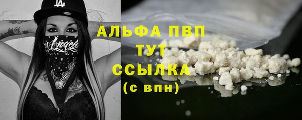 спиды Арсеньев