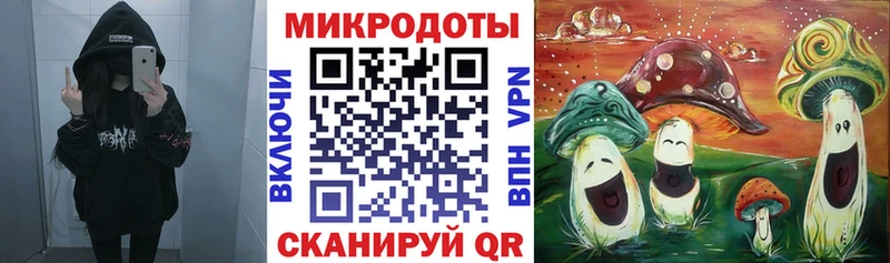 Псилоцибиновые грибы MAGIC MUSHROOMS  KRAKEN ССЫЛКА  Нефтекумск 